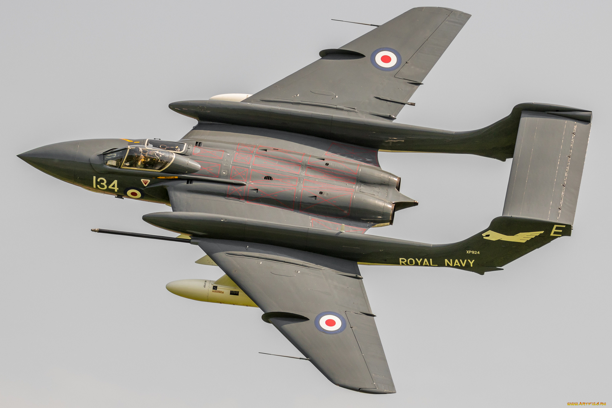 sea vixen, ,  , 
